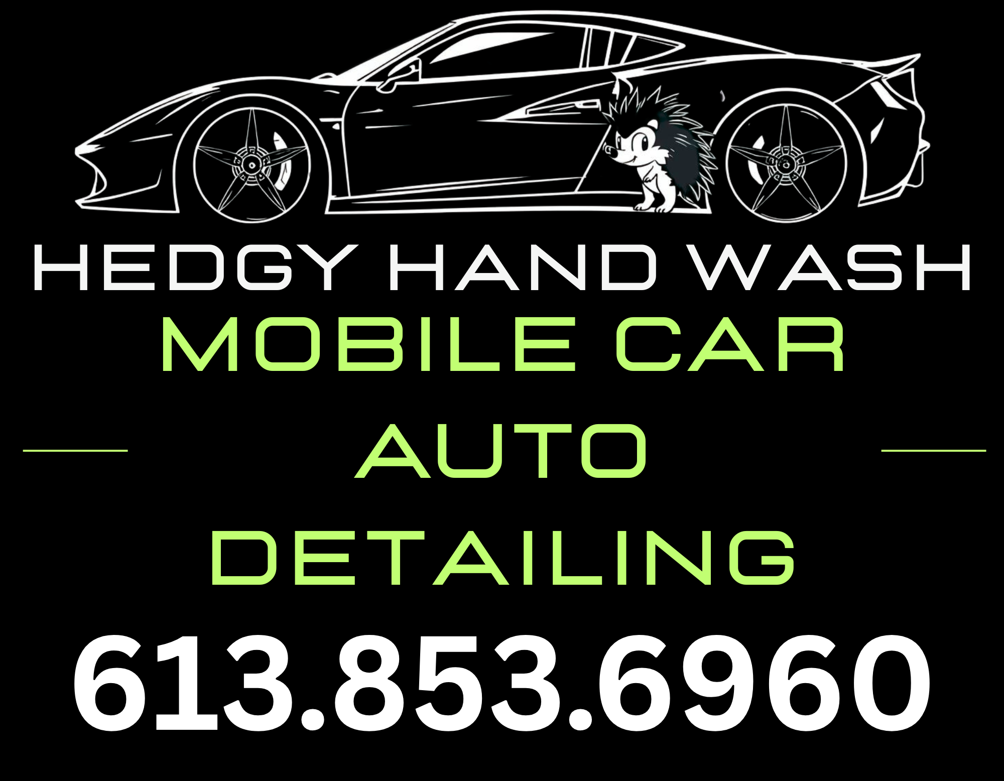Premium Total Auto Detail